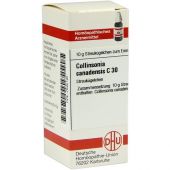 Collinsonia Canadensis C 30 Globuli bei apo-discounter.de bestellen
