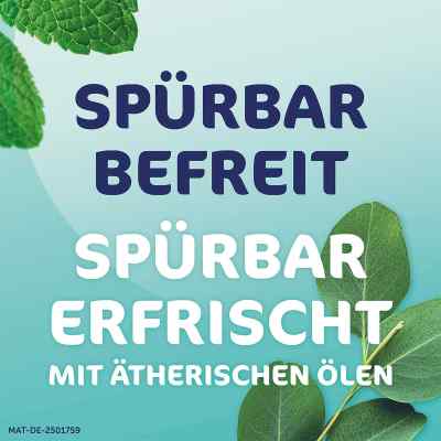Rhinospray Plus bei Schnupfen Nasenspray bei apo-discounter.de bestellen