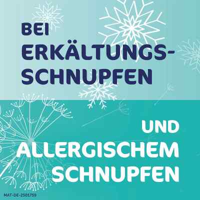 Rhinospray Plus bei Schnupfen Nasenspray bei apo-discounter.de bestellen