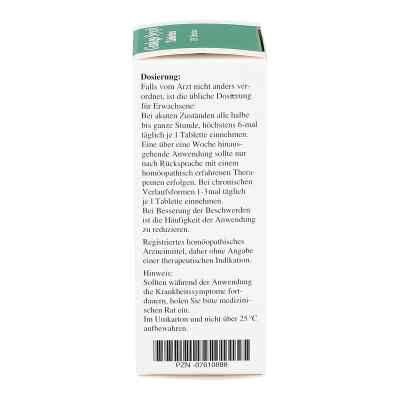 Ginkgo Syxyl Tabletten bei apo-discounter.de bestellen