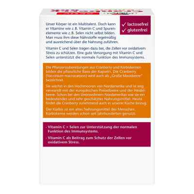 Doppelherz Cranberry + Kürbis Kapseln bei apo-discounter.de bestellen