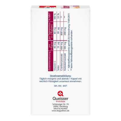 Doppelherz Cranberry + Kürbis Kapseln bei apo-discounter.de bestellen