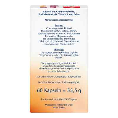 Doppelherz Cranberry + Kürbis Kapseln bei apo-discounter.de bestellen