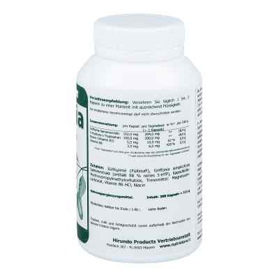 Griffonia 5 Htp 100 mg vegetarische Kapseln bei apo-discounter.de bestellen