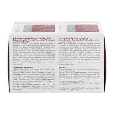 Amitamin arthro360 Kapseln bei apo-discounter.de bestellen