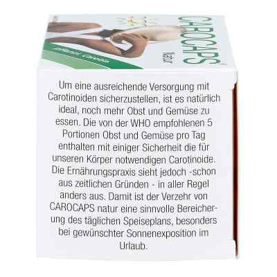 Carocaps 50 Natur Kapseln bei apo-discounter.de bestellen