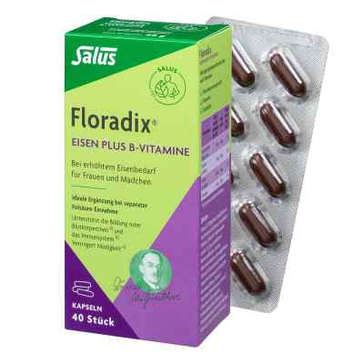 Floradix Eisen plus B Vitamine Kapseln bei apo-discounter.de bestellen