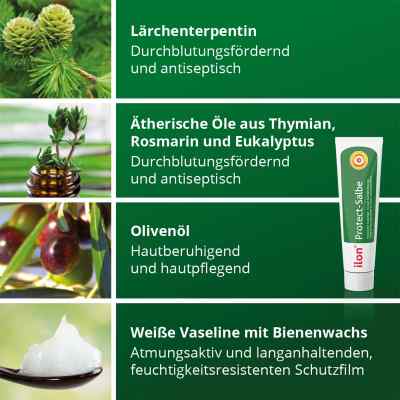 Ilon Protect Salbe bei apo-discounter.de bestellen