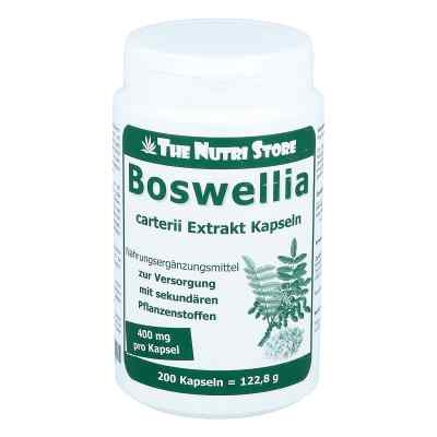 Boswellia Carterii 400 mg Extrakt veget. Kapseln bei apo-discounter.de bestellen
