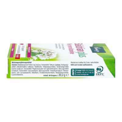 Kneipp Baldrian plus Nervenvitamine Dragees bei apo-discounter.de bestellen