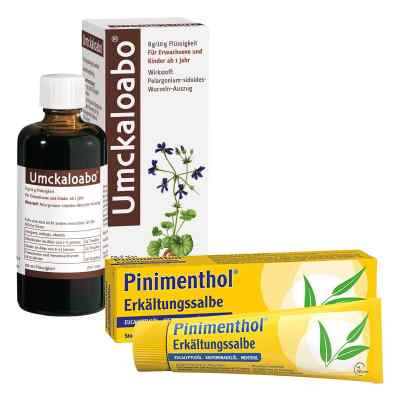 Umckaloabo + Pinimenthol Erkältungssalbe bei apo-discounter.de bestellen