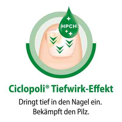 Ciclopoli gegen Nagelpilz bei apo-discounter.de bestellen