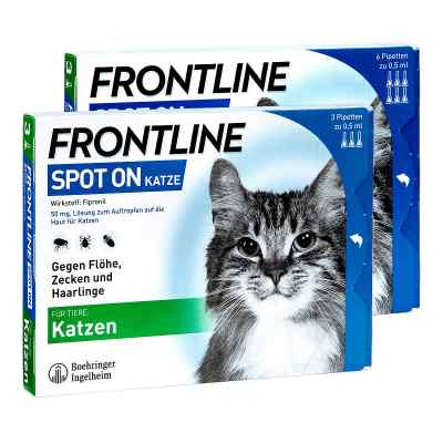 Frontline Set Katze gegen Zecken und Flöhe bei apo-discounter.de bestellen