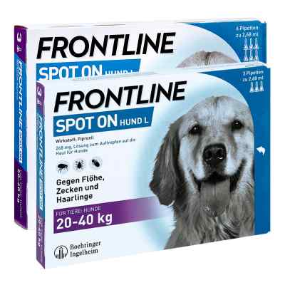 Frontline Set Hunde gegen Zecken und Flöhe bei apo-discounter.de bestellen