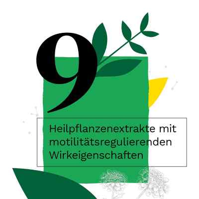 Iberogast bei funktionellen Magen-Darm-Beschwerden bei apo-discounter.de bestellen