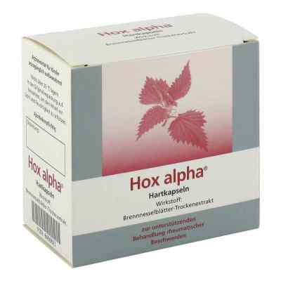Hox alpha bei apo-discounter.de bestellen