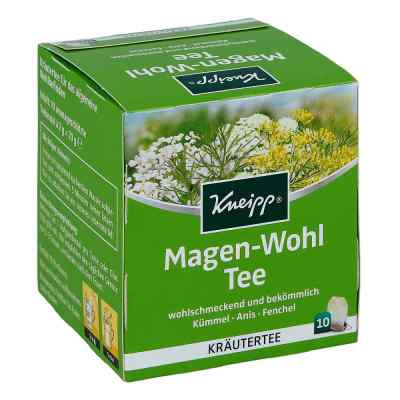 Kneipp Tee Magen Wohl Filterbeutel bei apo-discounter.de bestellen