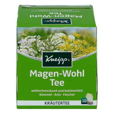 Kneipp Tee Magen Wohl Filterbeutel bei apo-discounter.de bestellen