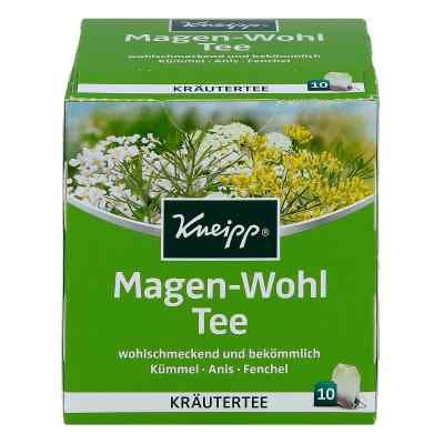 Kneipp Tee Magen Wohl Filterbeutel bei apo-discounter.de bestellen