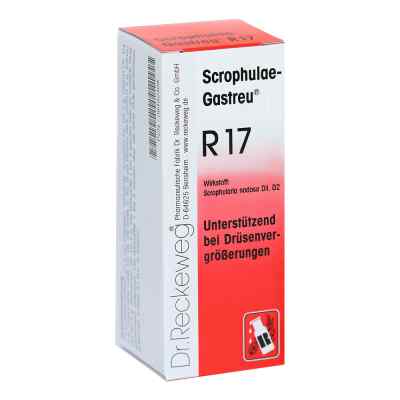 Scrophulae Gastreu R 17 Tropfen zum Einnehmen bei apo-discounter.de bestellen