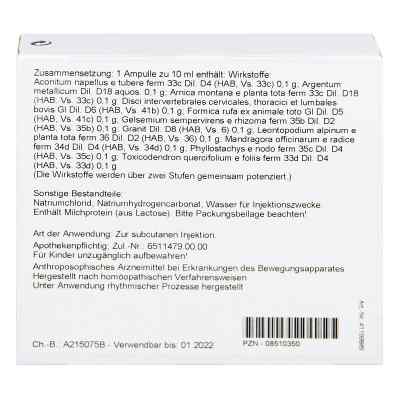 Disci/ Rhus Tox. compositus Ampullen bei apo-discounter.de bestellen