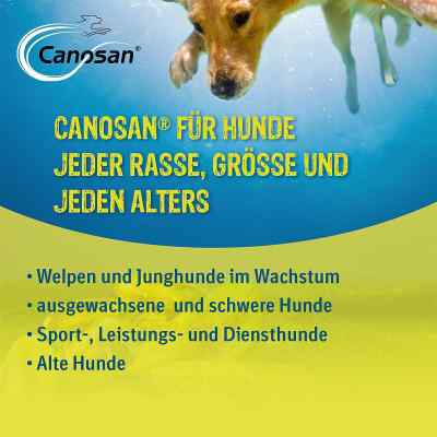 Canosan Konzentrat bei apo-discounter.de bestellen