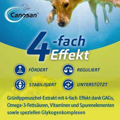 Canosan Konzentrat bei apo-discounter.de bestellen