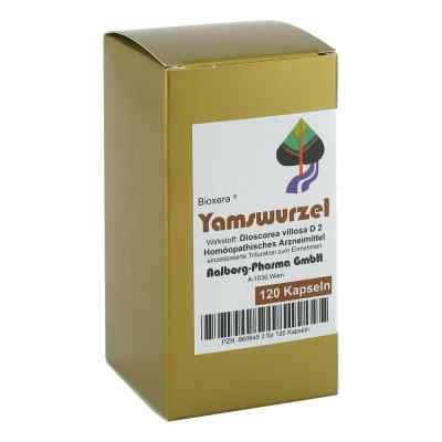 Yamswurzel Kapseln bei apo-discounter.de bestellen