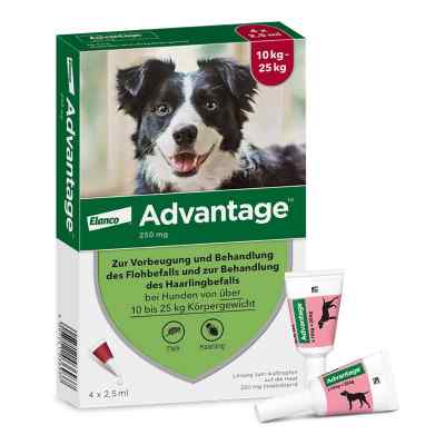 Advantage 250 für Hunde Lösung bei apo-discounter.de bestellen