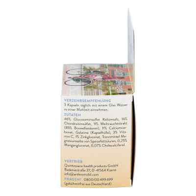 Arthromobil Kapseln bei apo-discounter.de bestellen