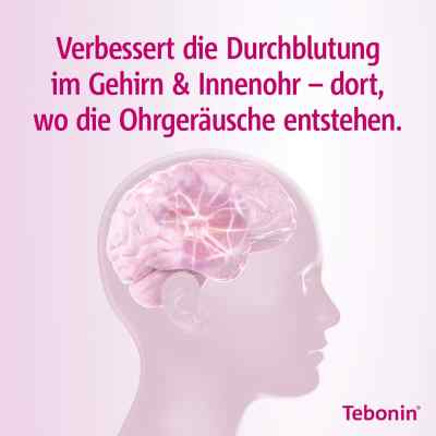 Tebonin intens 120mg bei apo-discounter.de bestellen