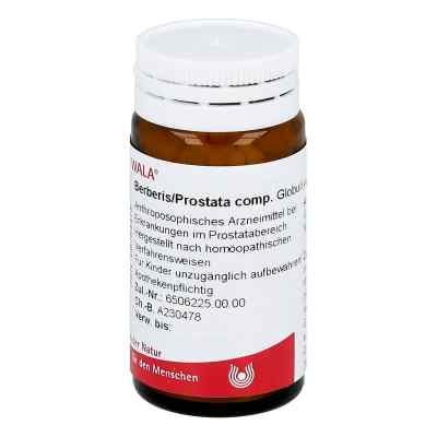 Berberis/prostata Comp. Globuli bei apo-discounter.de bestellen