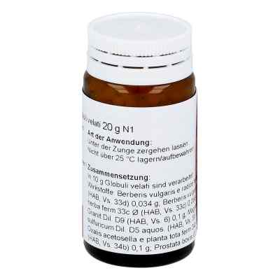 Berberis/prostata Comp. Globuli bei apo-discounter.de bestellen