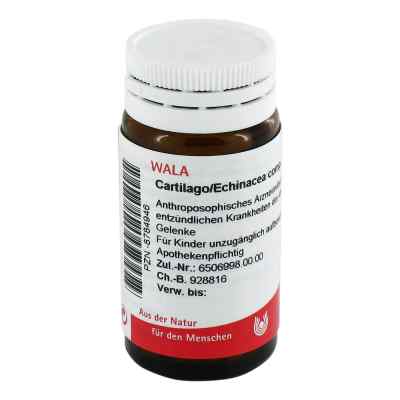 Cartilago/echinacea compositus Globuli bei apo-discounter.de bestellen