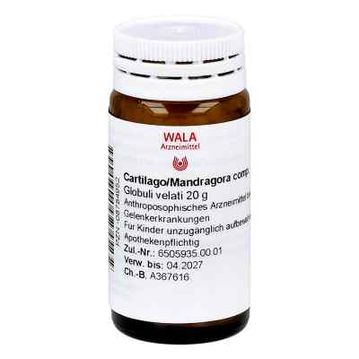 Cartilago/mandragora compositus Globuli bei apo-discounter.de bestellen