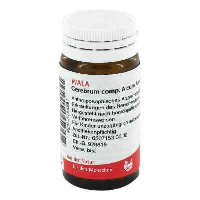 Cerebrum Comp. A cum Auro compositus Globuli bei apo-discounter.de bestellen