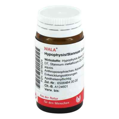 Hypophysis/stannum Globuli bei apo-discounter.de bestellen