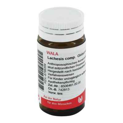 Lachesis Comp. Globuli bei apo-discounter.de bestellen