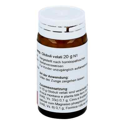Magnesium Phos. Comp. Globuli bei apo-discounter.de bestellen