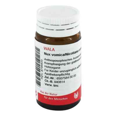 Nux Vomica/ Nicotiana Comp. Globuli bei apo-discounter.de bestellen