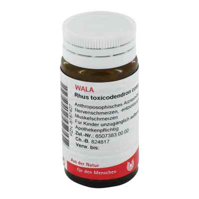 Rhus Tox. Comp. Globuli bei apo-discounter.de bestellen