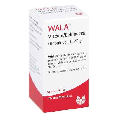 Viscum Echinacea Globuli bei apo-discounter.de bestellen