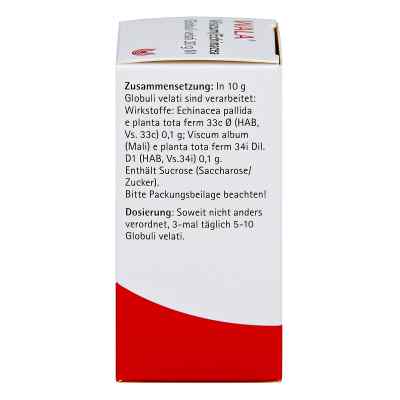 Viscum Echinacea Globuli bei apo-discounter.de bestellen