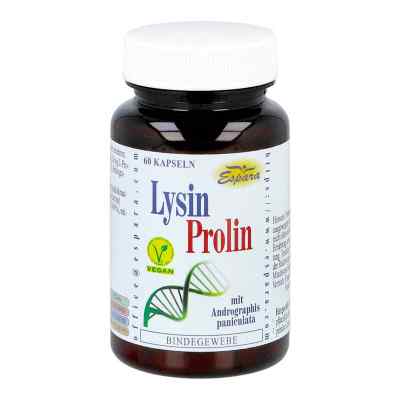 Lysin Prolin Kapseln bei apo-discounter.de bestellen