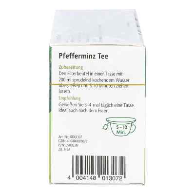 Pfefferminz Tee Menthae piperitae folium bio Salus bei apo-discounter.de bestellen