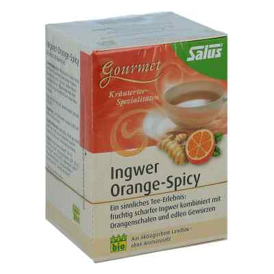 Ingwer Orange Spicy Tee Salus bei apo-discounter.de bestellen
