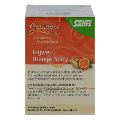 Ingwer Orange Spicy Tee Salus bei apo-discounter.de bestellen