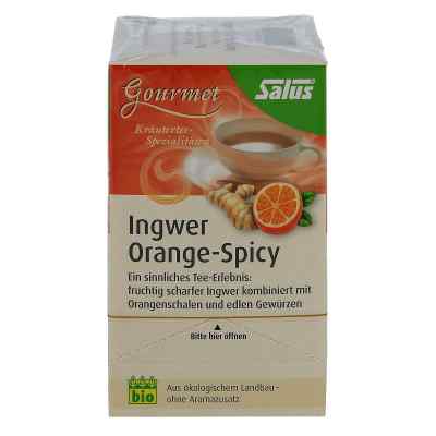Ingwer Orange Spicy Tee Salus bei apo-discounter.de bestellen