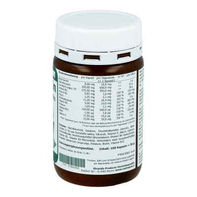 Beta Carotin 8 mg Bräunungskapseln bei apo-discounter.de bestellen