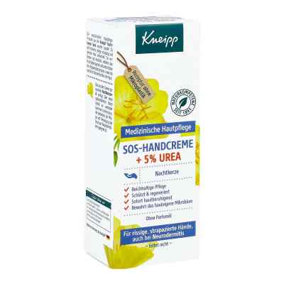 Kneipp Handcreme Nachtkerze + 5% Urea bei apo-discounter.de bestellen